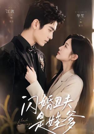闪婚丑夫是娃爹（81集）高清画质免费看
