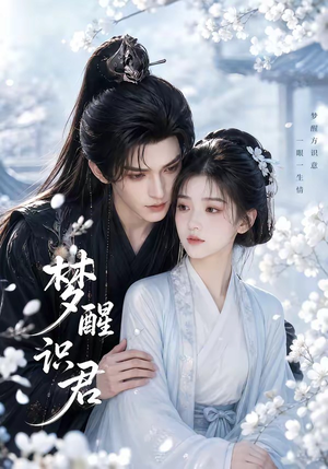 梦醒识君（16集）高分佳作免费看