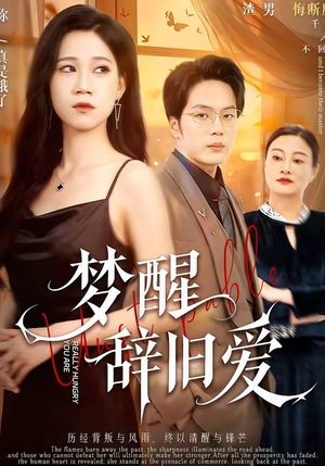 梦醒辞旧爱（55集）第一季