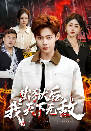 出狱后，我天下无敌（90集）在线免费观看
