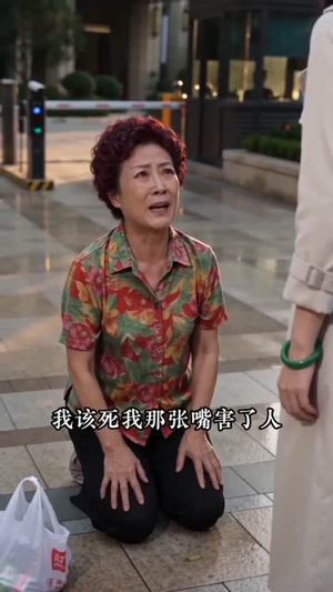 头等舱闹剧：救了孕妇反被骂（68集）短剧全集免费