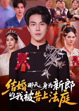 结婚那天，身为新郎的我被告上法庭（59集）好看吗
