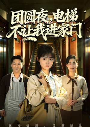 团圆夜,电梯不让我进家门(52集) 团圆夜,电梯不让我进家门(52集)短剧推荐分享