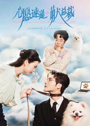 心愿速递之萌犬总裁（50集）独家短剧免费看