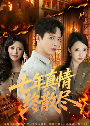 七年真情终散尽（60集）演员表