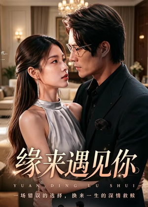 缘来遇见你（29集）全集下载