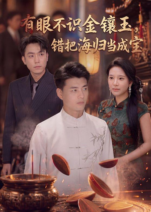 有眼不识金镶玉错把海归当成宝（80集）热播古装短剧
