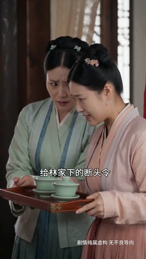 一枕寒香劫(51集) 一枕寒香劫(51集)在线免费观影