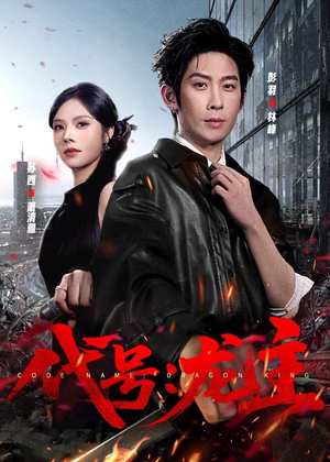 代号：龙主（70集）360网盘观看