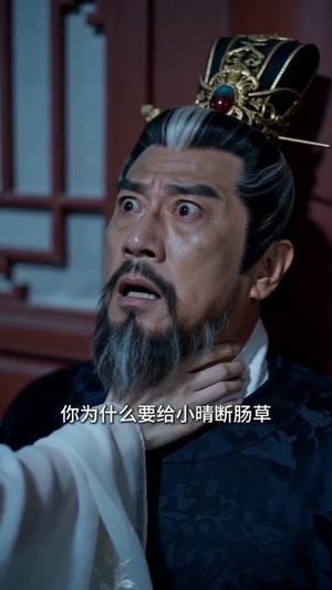 嫡女血兵，摄政王宠疯了（48集）夸克网盘观看
