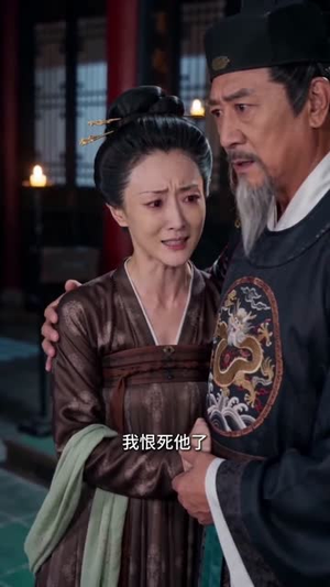 落魄书生成皇帝省亲蒙难（56集）热播短剧分享