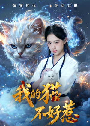 我的猫不好惹（42集）最新上映免费看