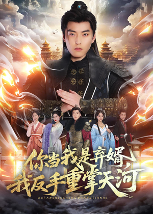你当我是弃婿，我反手重掌天河（70集）追短剧看全集