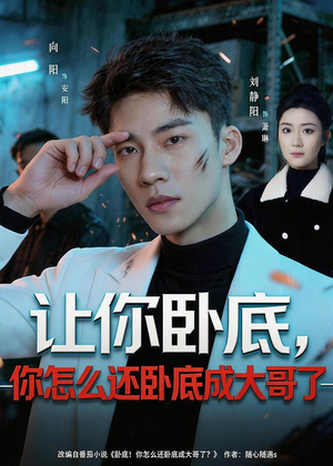 让你卧底，你怎么还卧成大哥了（80集）一共多少集