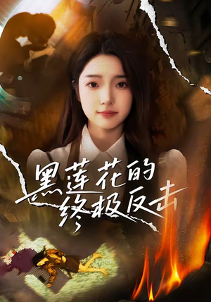 黑莲花的终极反击（60集）短剧演员排行榜
