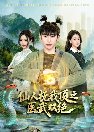 仙人抚我顶之医武双绝（66集）短剧解说全集