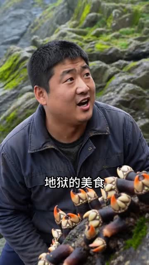 青竹竿（80集）迅雷网盘观看