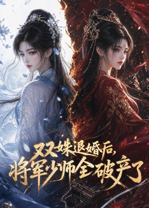 双姝退婚后，将军少师全破产了（30集）短剧太精彩