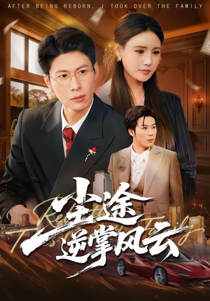 尘途逆掌风云（52集）热播短剧分享