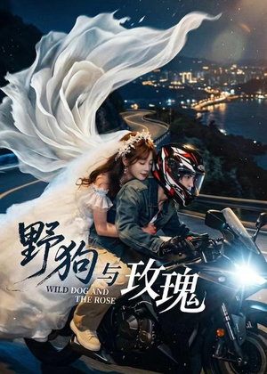野狗与玫瑰（30集）精彩短剧抢先看
