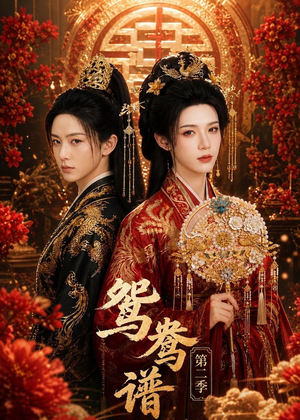 鸳鸯谱第二季（64集）免费观看
