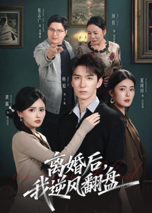 离婚后，我逆风翻盘（83集）新短剧推荐