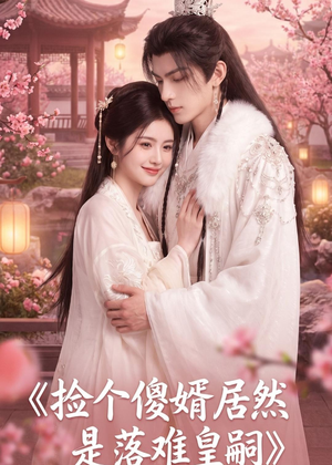 捡个傻婿居然是落难皇嗣（35集）热门短剧推广