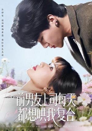 前男友上司每天都想哄我复合（77集）在线观看完整版
