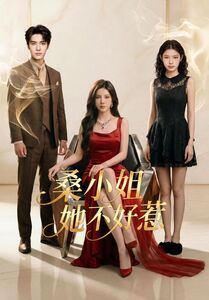 桑小姐她不好惹(103集) 桑小姐她不好惹(103集)视频在线看