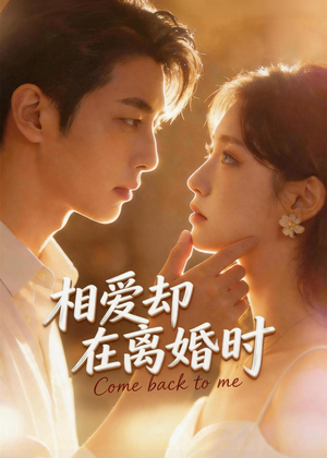 相爱却在离婚时(61集) 相爱却在离婚时(61集)热播短剧分享
