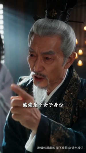 傅大人，崽崽的爹找上门来了（67集）每日分享短剧