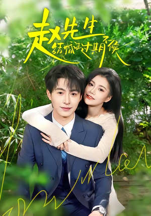 赵先生结婚证过期不候（50集）短剧追不停