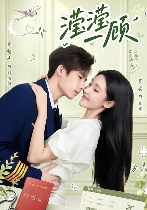 滢滢一顾（70集）追短剧看全集