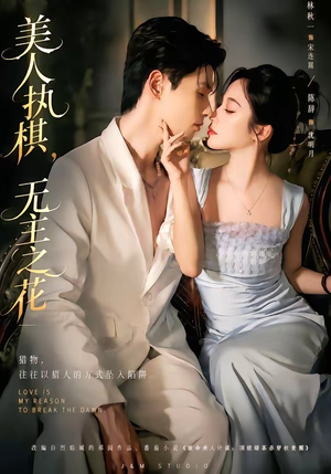 美人执棋，无主之花（65集）短剧越看越精彩