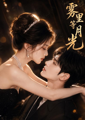 雾里等月光（80集）熬夜追短剧