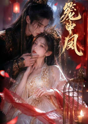 笼中凤（44集）解说