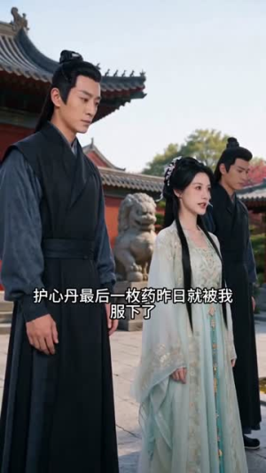 寻夫边关，归来遇良人（60集）精彩好看短剧