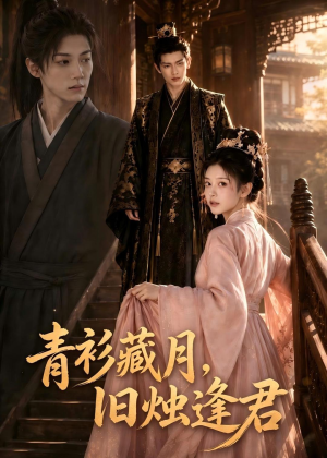 青衫藏月，旧烛逢君（56集）我真的爱了