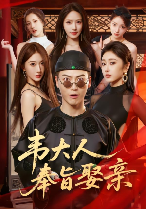 韦大人奉旨娶亲(81集) 韦大人奉旨娶亲(81集)太好看了短剧