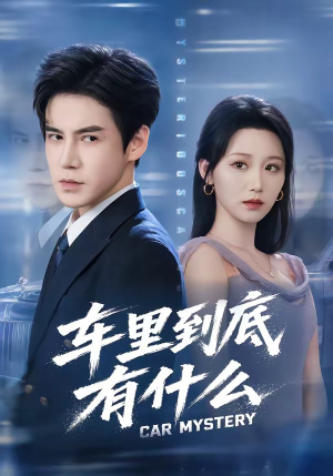 车里到底有什么（51集）集免费看短剧