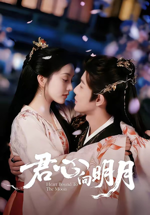 君心向明月（60集）一口气看完