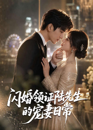 闪婚领证陆先生的宠妻日常（72集）零花钱看整部剧