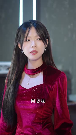 聚会上，我撕碎最后的温柔（27集）1-102集