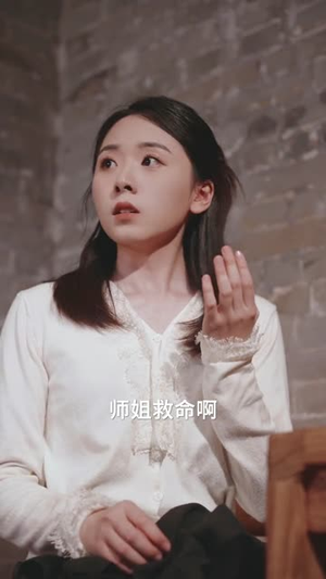 正心风暴（43集）好看的短剧