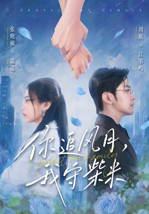 你追风月，我守柴米（61集）一共多少集