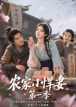 农家小悍妻第一季(70集) 农家小悍妻第一季(70集)高清画质免费看