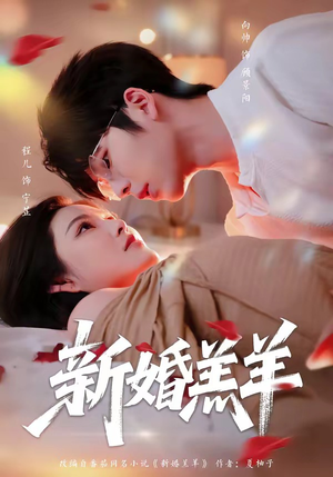 新婚羔羊（89集）高清无码免费看