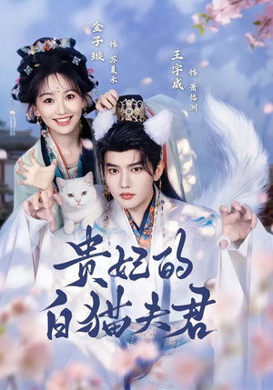 贵妃的白猫夫君（81集）短剧精彩绝伦