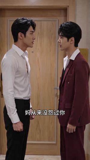 少爷们的白月光替身（60集）短剧免费看全集