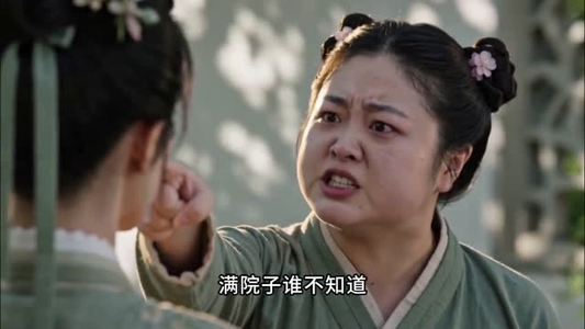 烧火丫头逆袭记(22集) 烧火丫头逆袭记(22集)短剧热播中